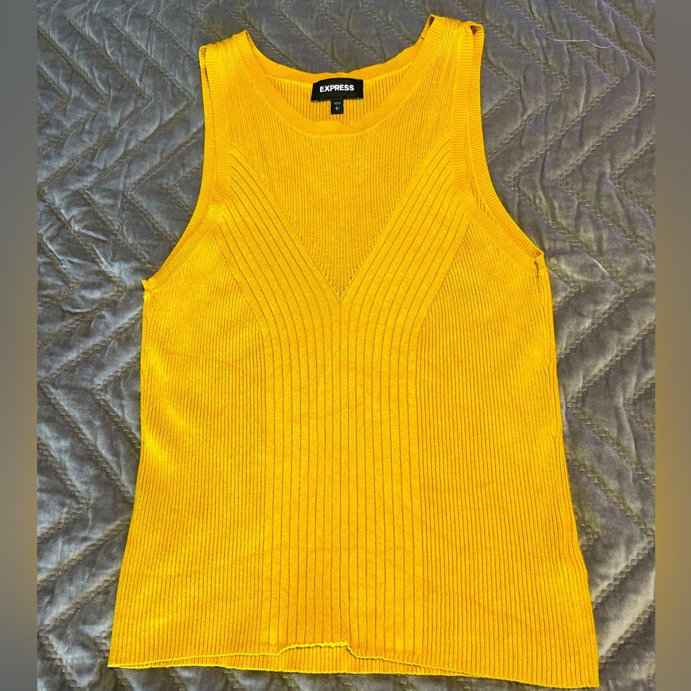 EXPRESS | Marigold Knitted Top